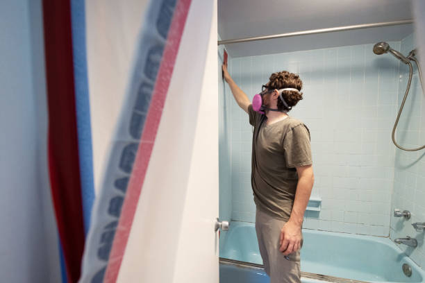 Best Dehumidification Services  in Tripoli, IA