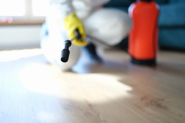 Forensic Mold Investigation in Tripoli, IA