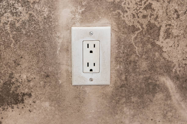 Asbestos and Lead Testing During Mold Inspection in Tripoli, IA
